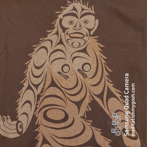 American Apparel Medium Sasquatch T-shirt - Picture 1 of 8
